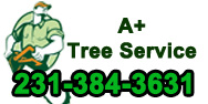 A + Tree Service 