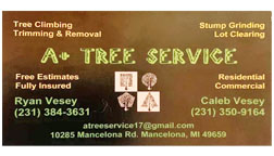 A + Tree Service 