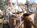 20161116 mancelona 62th buck pole 2016