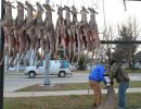 20121115 58th annual mancelona buck pole 2012