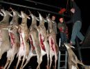 20121115 58th annual mancelona buck pole 2012