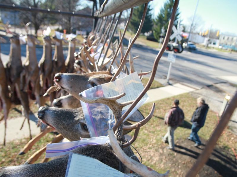 20121116 58th annual mancelona buck pole 2012