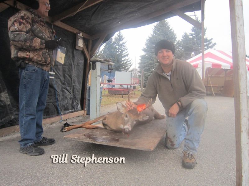 stephenson bill