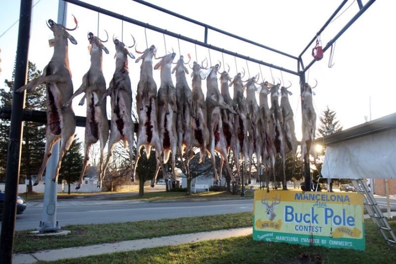 20151115 mancelona 61st buck pole 2015