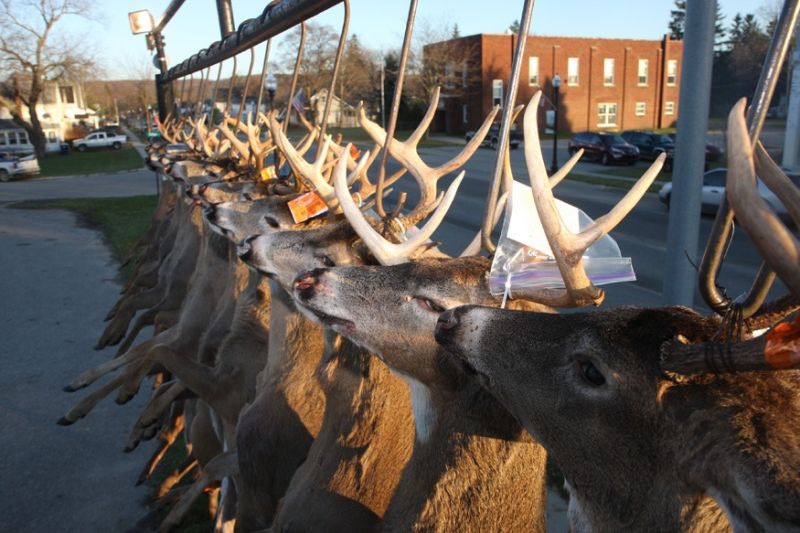 20151115 mancelona 61st buck pole 2015