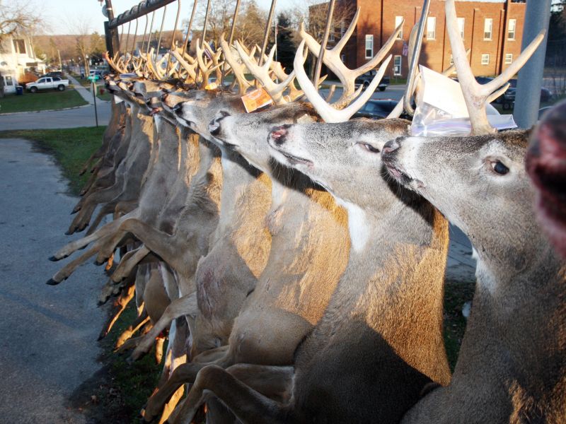 20151115 mancelona 61st buck pole 2015