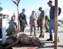 20151115 mancelona 61st buck pole 2015