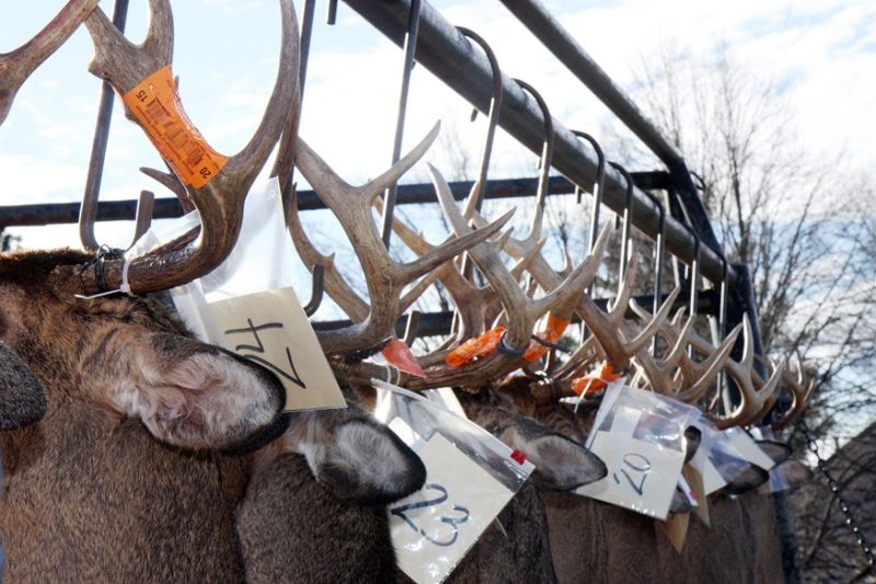 20151116 mancelona 61st buck pole 2015