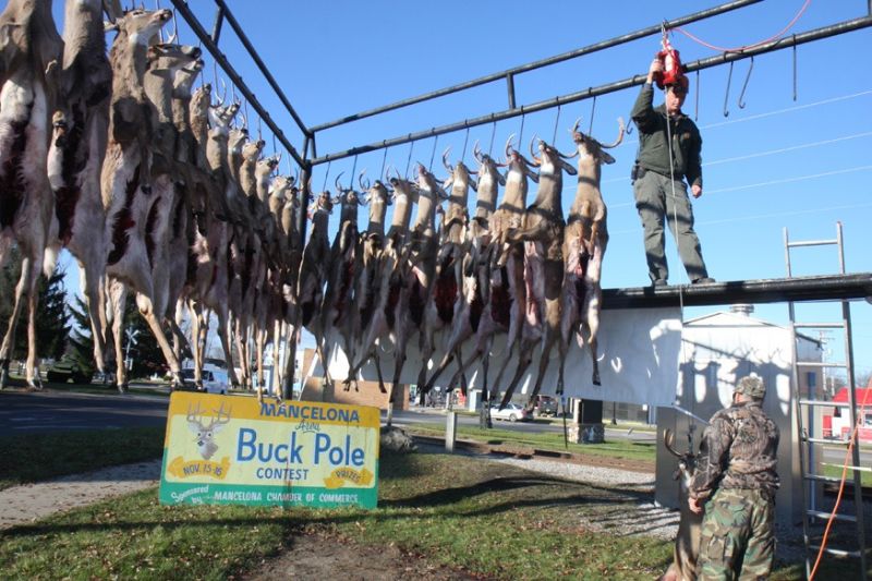 20151116 mancelona 61st buck pole 2015