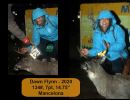 flynn dawn 13 flynn dawn 13