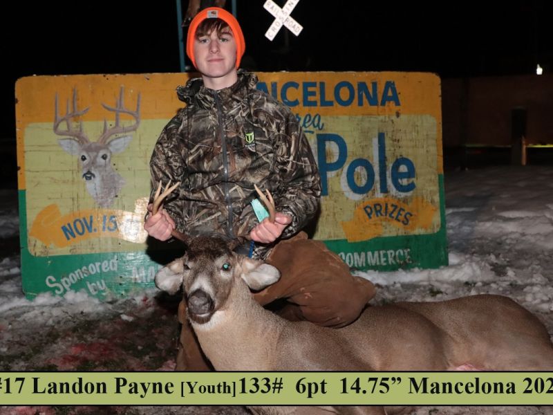 payne landon 17  in