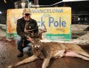 20221115 mancelona 68th buck pole 2022