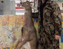 20221116 mancelona 68th buck pole 2022 20221116 mancelona 68th buck pole 2022