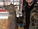 20221116 mancelona 68th buck pole 2022 20221116 mancelona 68th buck pole 2022
