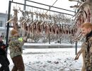 20221116 mancelona 68th buck pole 2022 20221116 mancelona 68th buck pole 2022
