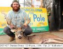 2023 damian doney   buck pole banner