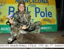 2023 danielle holmes   buck pole banner