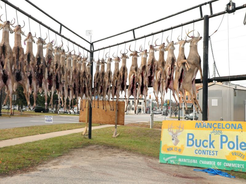 2023 11 16 fb buck pole img