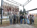 20241115 70th buck pole 20241115 70th buck pole