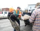 20241115 70th buck pole 20241115 70th buck pole