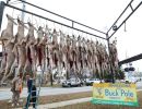 20241115 70th buck pole 20241115 70th buck pole