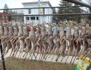 20241115 70th buck pole 20241115 70th buck pole