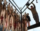 20241115 70th buck pole 20241115 70th buck pole