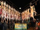 20241115 70th buck pole 20241115 70th buck pole