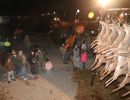 20241115 70th buck pole 20241115 70th buck pole