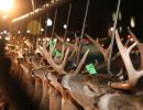 20241115 70th buck pole 20241115 70th buck pole