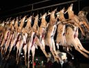 20241115 70th buck pole 20241115 70th buck pole