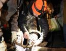20241115 70th buck pole 20241115 70th buck pole