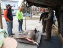 20241116 70th buck pole 20241116 70th buck pole