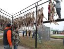 20241116 70th buck pole 20241116 70th buck pole
