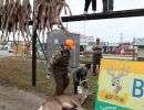 20241116 70th buck pole 20241116 70th buck pole