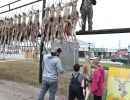 20241116 70th buck pole 20241116 70th buck pole