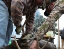 20241116 70th buck pole 20241116 70th buck pole