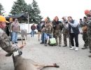 20241116 70th buck pole 20241116 70th buck pole
