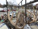 20241116 70th buck pole 20241116 70th buck pole