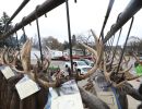 20241116 70th buck pole 20241116 70th buck pole