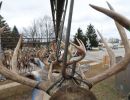 20241116 70th buck pole 20241116 70th buck pole