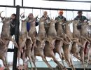 20241116 70th buck pole 20241116 70th buck pole