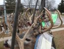 20241116 70th buck pole 20241116 70th buck pole